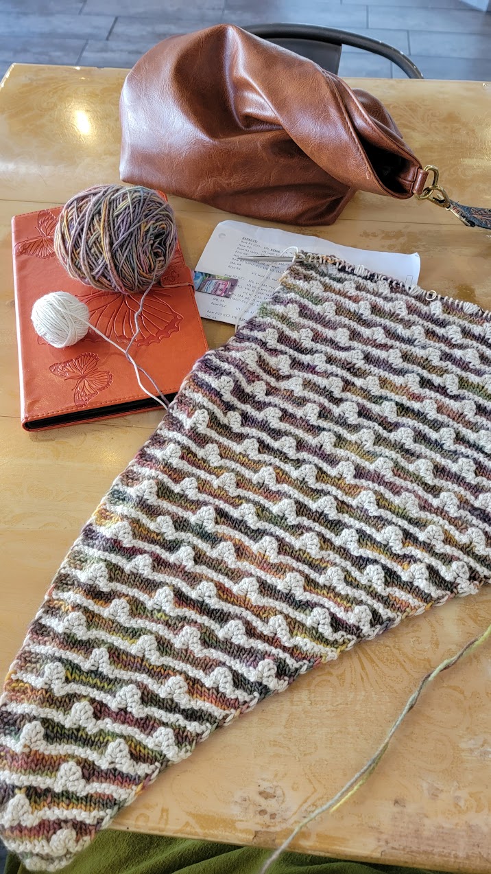 Spin Lines Shawl update